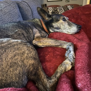 Fundraising Page: Pam MacNett-Kennelly